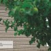 Сайдинг Ю-Пласт TIMBERBLOCK Пихта (Тимберблок) Cахалинская купить в Липецке