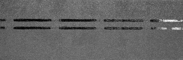 Коньково-карнизная черепица Docke Premium, черника купить в Липецке