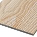 Фиброцементные панели FCSPRO Decor Wood Лиственница купить в Липецке