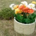 Цветник КАНЬОН купить в Липецке
